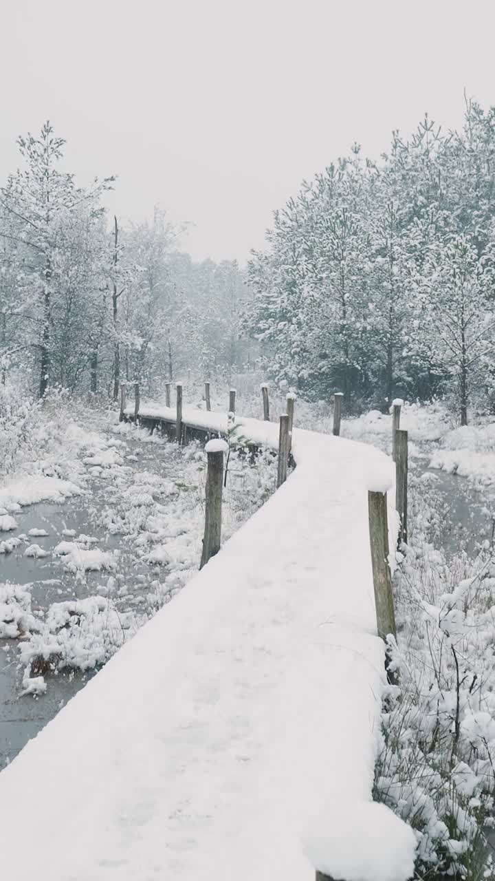 Sentiero di Legno Innevato Attraverso una Foresta Invernale