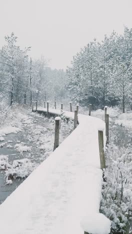 snowy wooden path through a winter forest