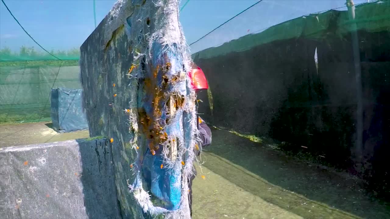 야외 경기장-1에서 페인트볼을 하는 소녀와 소년