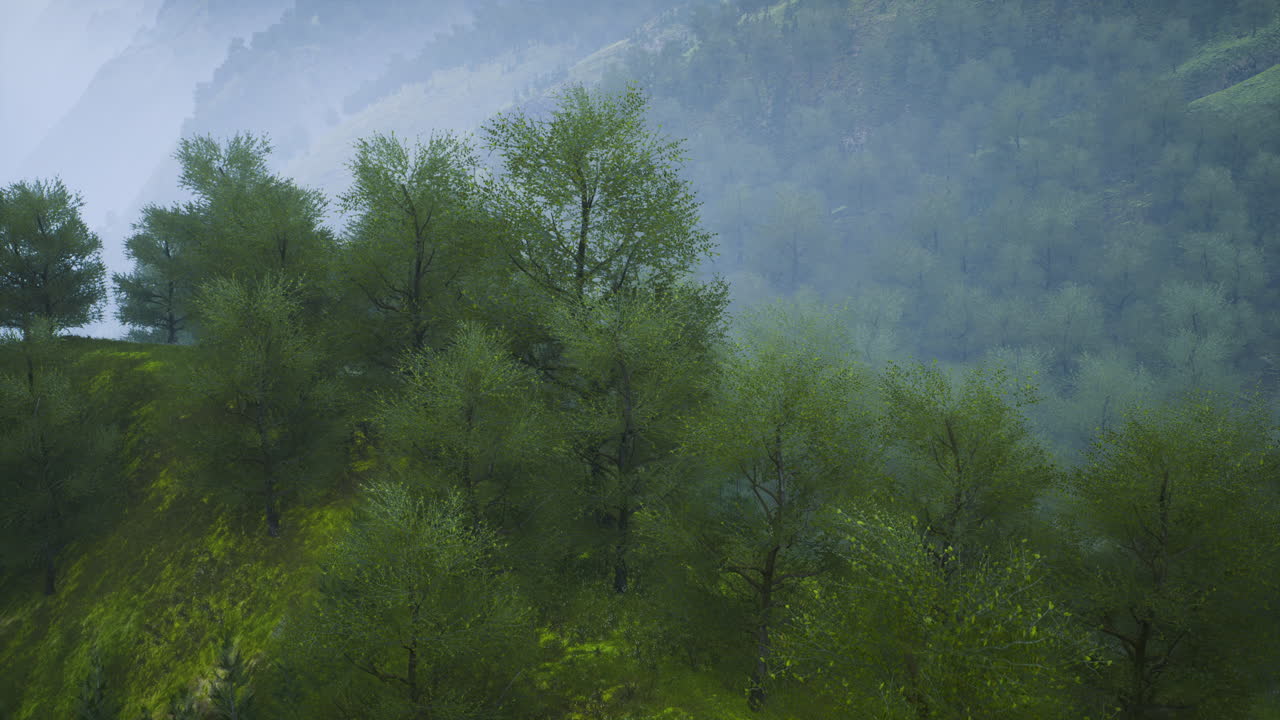 이른 아침 빛 속 에 안개 가 가득 한 언덕 과 나무 들 이 있는 울창 한 초록색 풍경