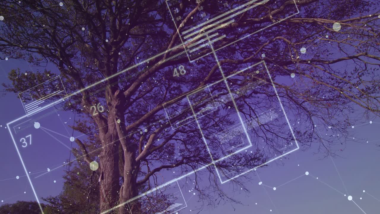 Data overlays fading in over deciduous tree, filling grids rotating for data scan then fading out