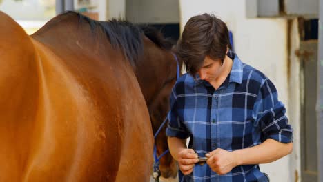 Woman-holding-horseshoe-at-stable-4k