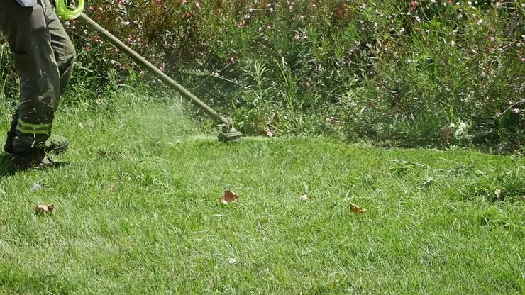 mann mäht gras mit einem unkrautmäher