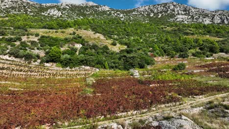 aerial truck shot looking up a steep mountain slope on the peljesac peninsula on a sunny day.