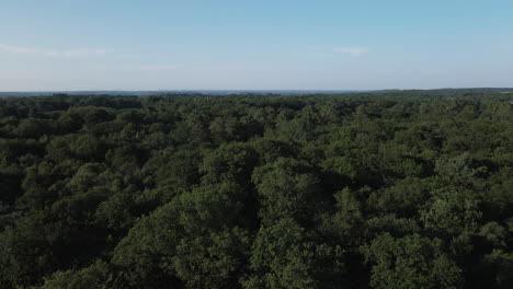 Broceliande-Wald-In-Der-Bretagne,-Frankreich