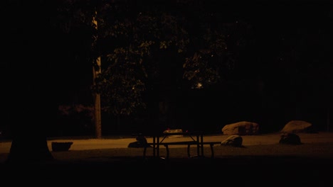 cars driving at night past chautauqua park in boulder colorado, night life in colorado, cars driving during dark clear night