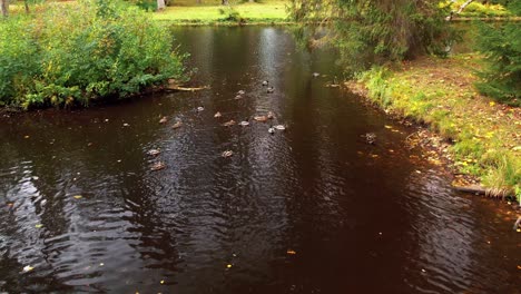 Estanque-Y-Parque-De-La-Ciudad-De-Gulbene