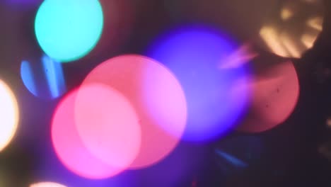 las luces de colores de las hadas de navidad brillan brillantemente.