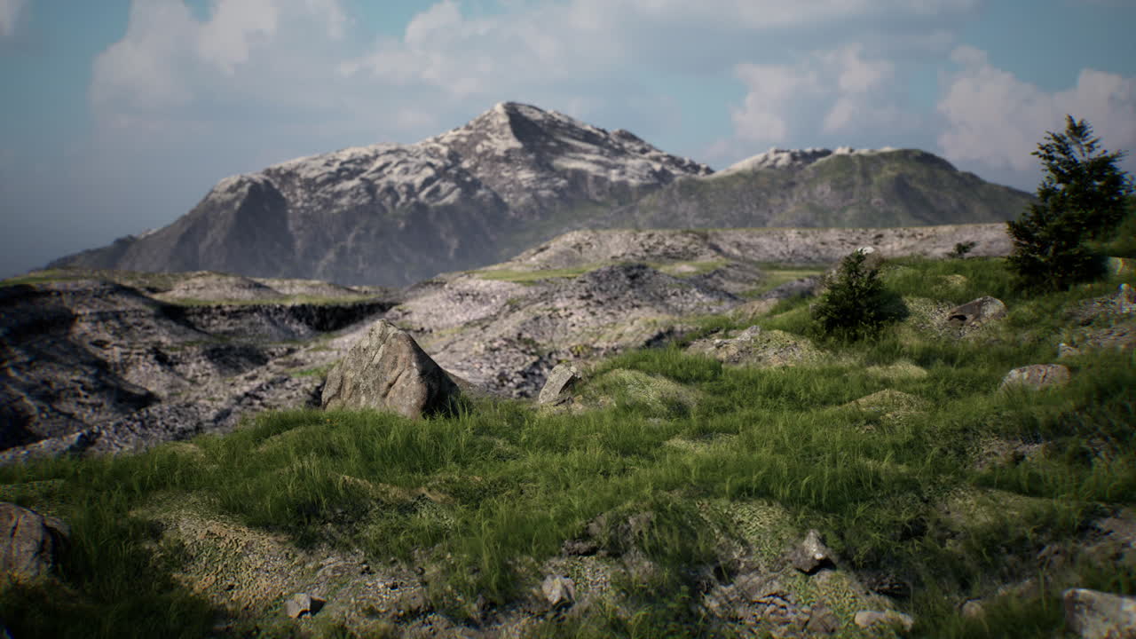 Lush green landscape with rocky terrain and snowy mountain peaks at midday