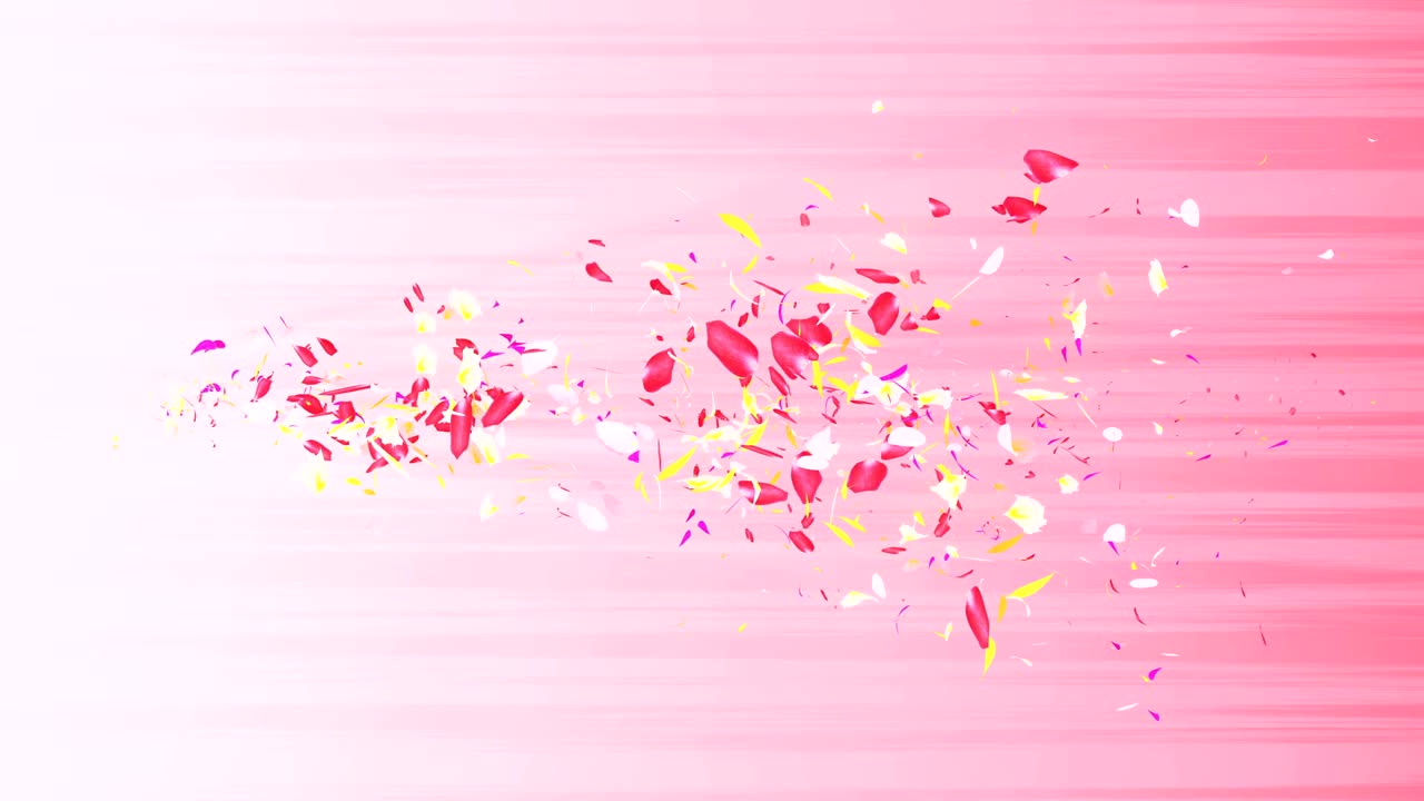 화려한 잎자루, 나선형 반이는 꽃잎, 꽃 모양, 예쁜 춤추는 꽃잎, 회전하는 꽃잎에서 소용돌이, 추상적인 루프 애니메이션.