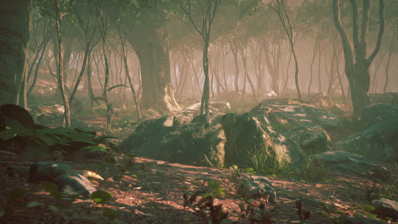 mágico paisaje de bosque oscuro de otoño con rayos de luz cálida