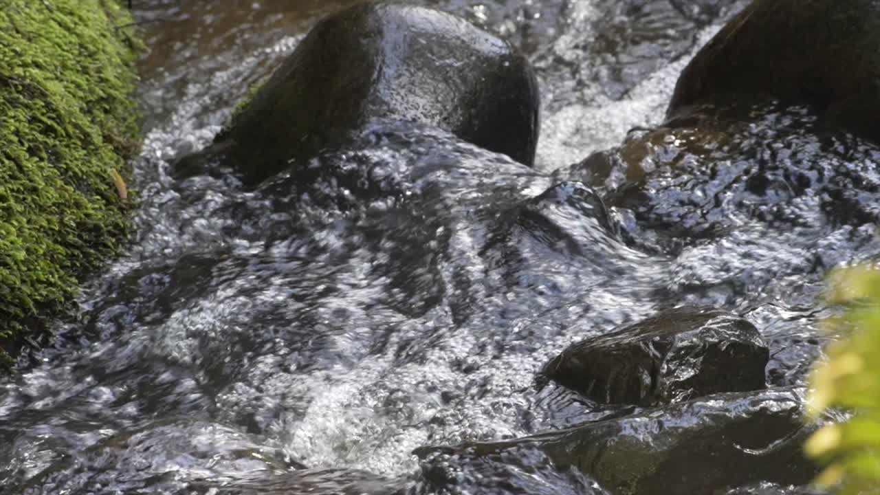 Primo piano di acqua che scorre in un piccolo ruscello.