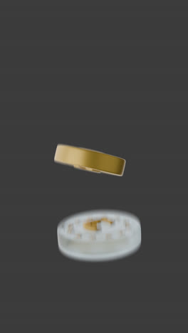 euro coin animation
