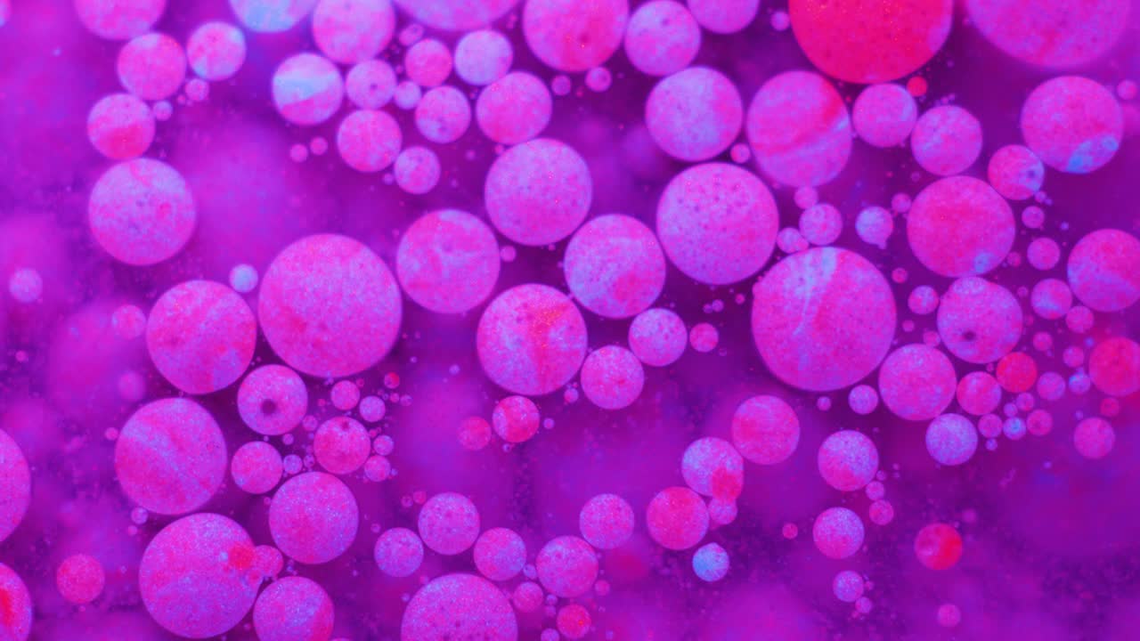 Slow Motion Bright Neon Color Bubbles Oil Beautiful Fluorescent Paint Sparkling Color Moving Multicolor Close up. Acrylic Neon Paint. Fantastic Surface. Abstract Colorful Transformation Gravitation.