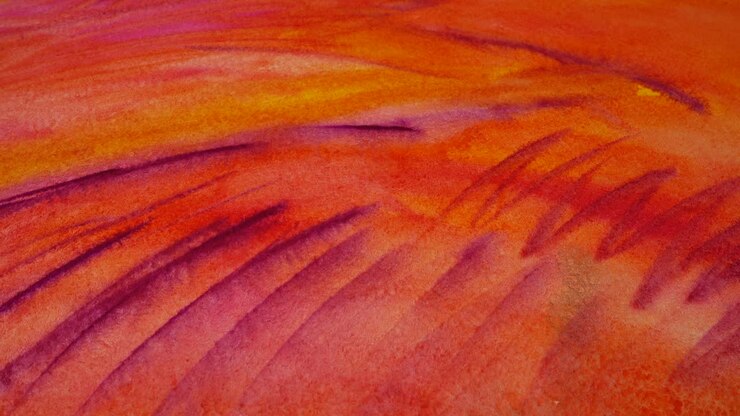 ABSTRACT DISEGNO