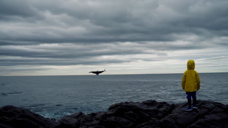 whale breaching in the ocean