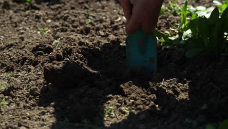 digging up ground in a garden.