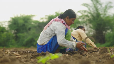 two women working in a rural agricultural field
