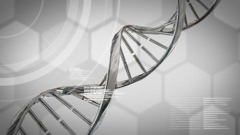 Dna-interface