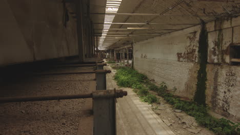 old abandoned industrial warehouse - wide shot
