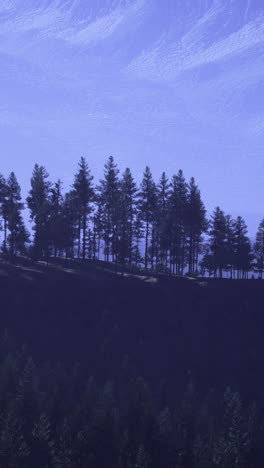 majestic silhouette of pine trees against a twilight mountain backdrop
