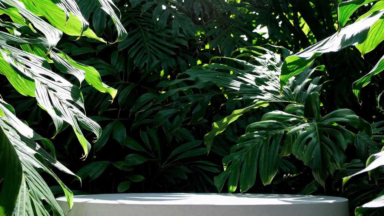 Video still showing lush green tropical leaves surrounding a circular stone platform