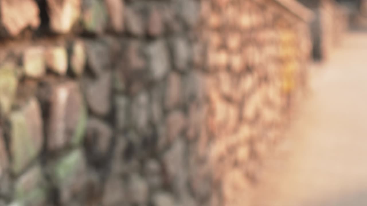 valla de piedra con sombras en movimiento. disparo de ángulo. fondo para pantalla verde o títulos