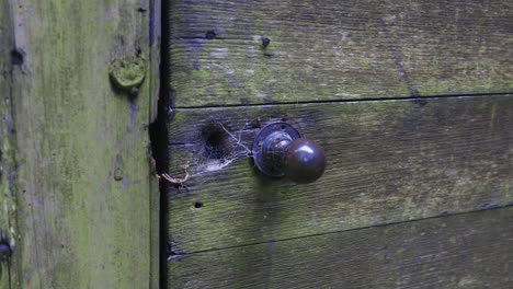 puerta de madera con mango antiguo y cerradura gastada con telarañas