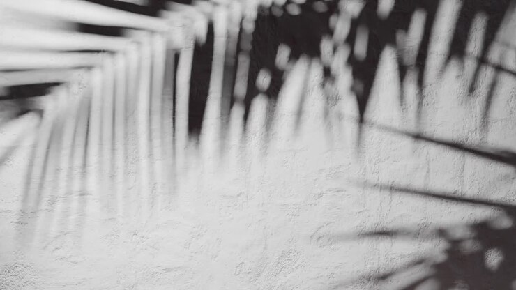 Shadow of palm leaves on textured white plaster wall with natural sunlight. Tropical plant silhouette on stucco surface. Design for wallpaper, banner, postcard, greeting card, poster, vertical