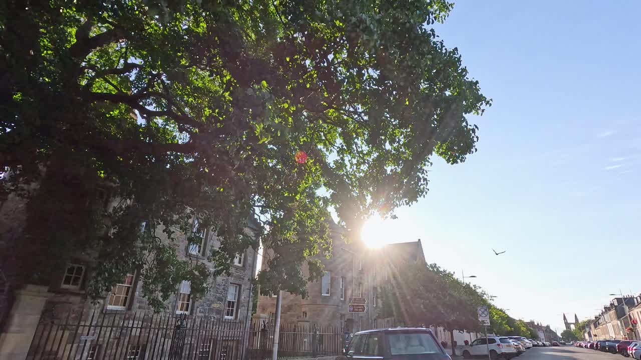 Camera glides along sunlit street lined with heritage stone architecture and leafy trees in Fife