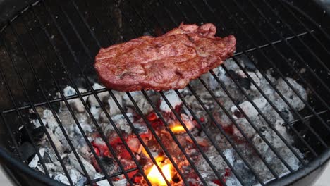 bistec en la parrilla