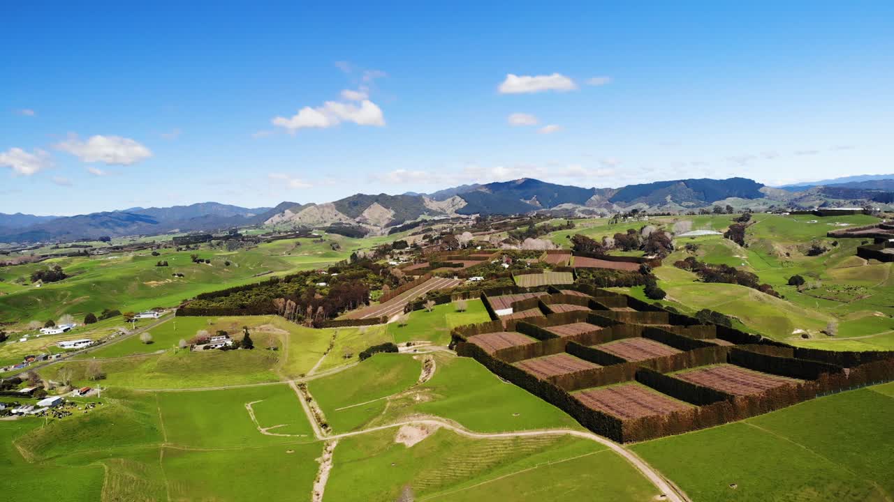 maravillosa vista aérea del paisaje verde de la agricultura de nueva zelanda con cielo despejado