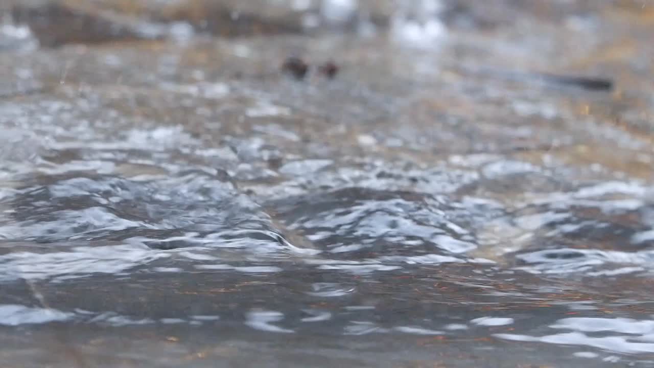 Rain falling on water surface