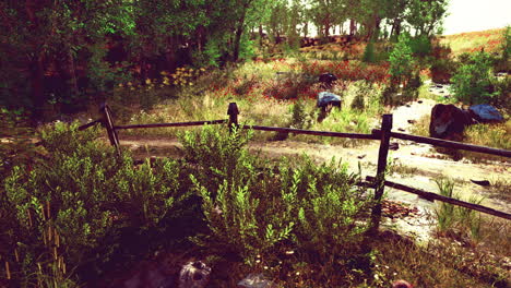 landscape with wooden fence grassy meadow and path