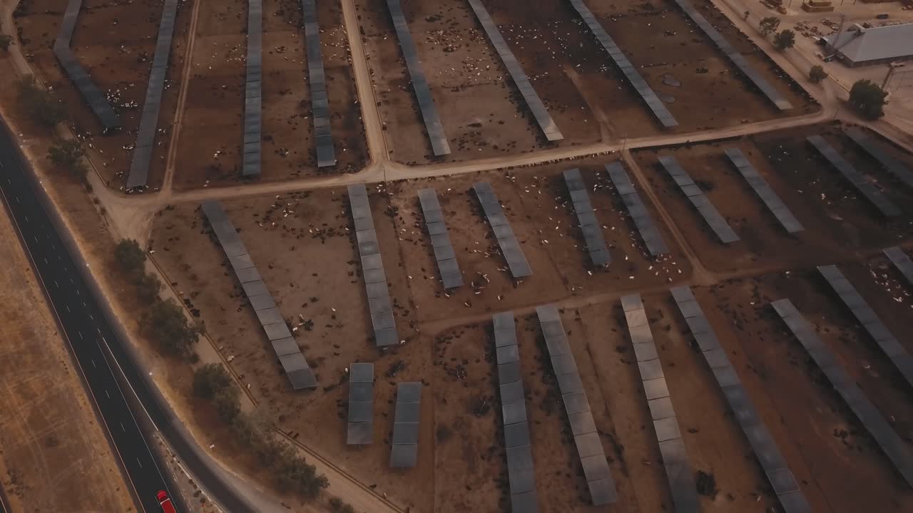 antena: empuje lento e incline sobre una enorme granja de ganado, corral de engorde