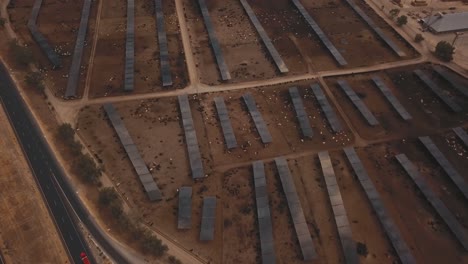 Antena:-Empuje-Lento-E-Incline-Sobre-Una-Enorme-Granja-De-Ganado,-Corral-De-Engorde