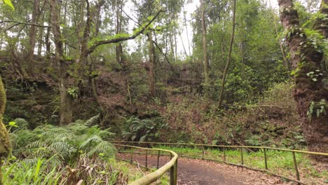 Pov-hiking-along-lush-Madeira-island-levada-Hiking-trail,-Slow-motion