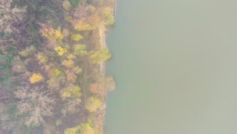 bosque de otoño cerca del lago
