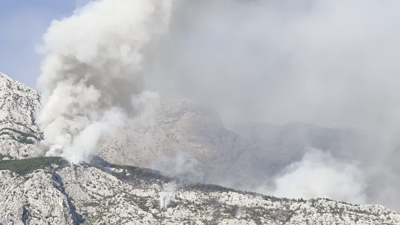 산과 해안의 산불