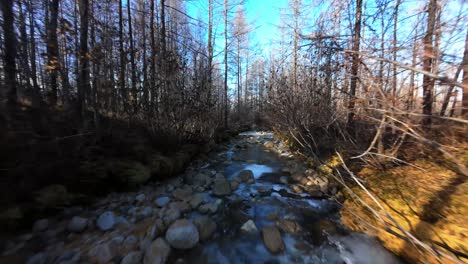 peaceful river flowing through a winter forest