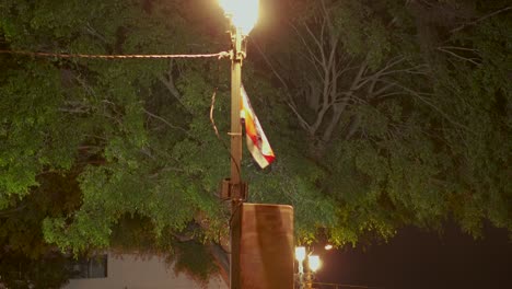 Pequeñas-Ondas-De-Bandera-Costarricense-En-Poste-De-Luz