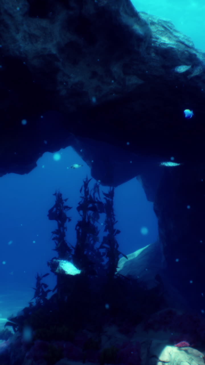 A beautiful view of an underwater cave with fish swimming around