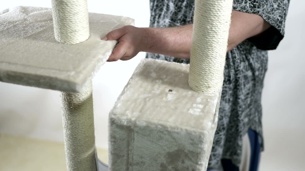 asamblea de condominios de casas de gatos en el árbol