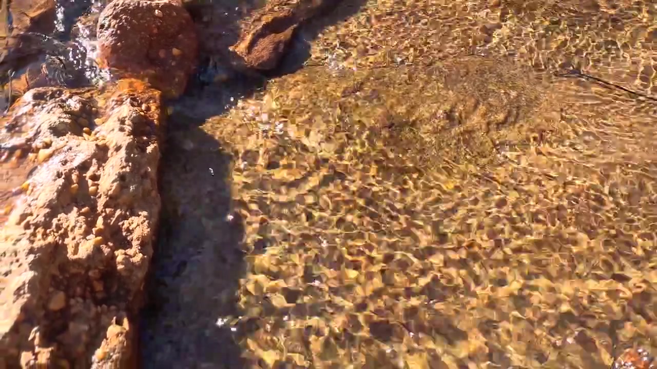 Acqua limpida che scorre sulle rocce in un ruscello poco profondo