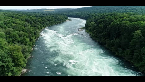 river flowing through a green forest