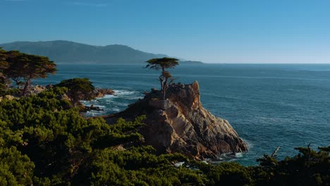 Lone-Cypress-Tree,-17-Mile-Drive-in-Monterey,-California,-Big-Sur-pacific