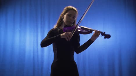 la mujer violinista toca el violín en el escenario y ama su arte.