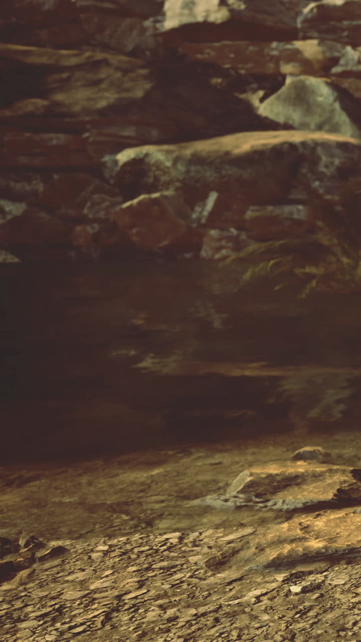 Water pool near rocks and plants shows wilderness scene in nature