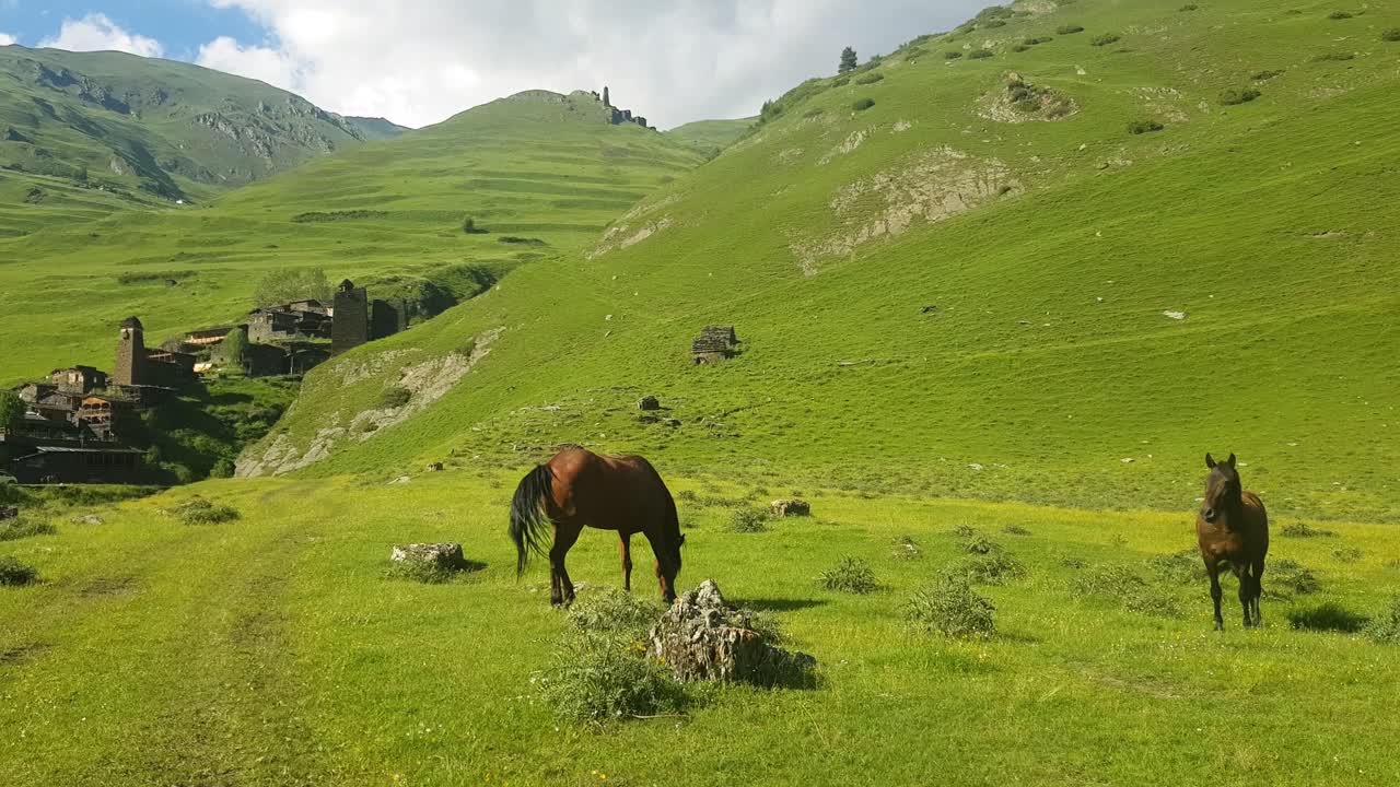 caballos en el pasto y la aldea en el campo de georgia, región de tusheti en un soleado día de verano
