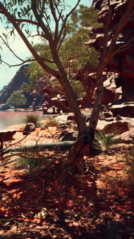 a tree stands on the bank of a red-colored river, with a canyon in the background